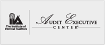 Audit Executive Center